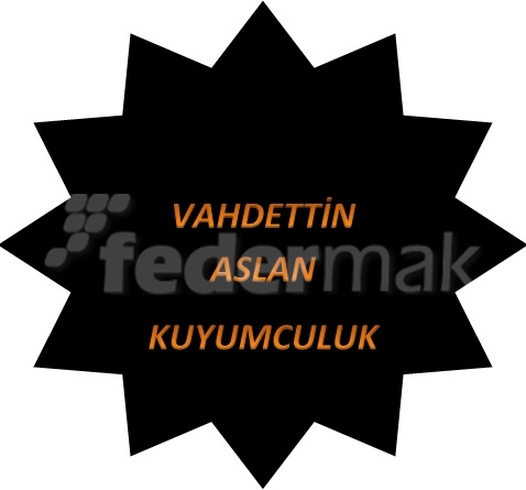 Vahdettin Aslan