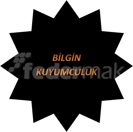 Bilgin